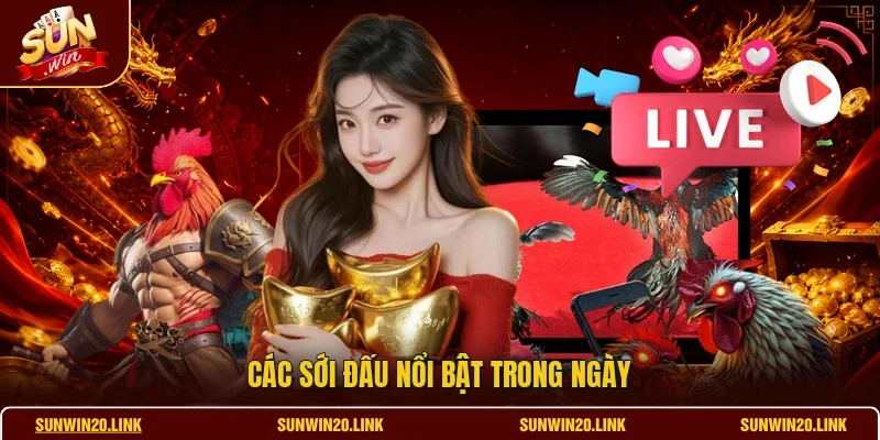 Các sới đấu nổi bật trong ngày