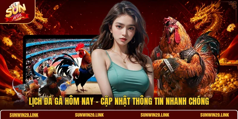 Lịch Đá Gà Hôm Nay - Cập Nhật Thông Tin Nhanh Chóng